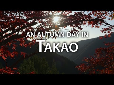 Beautiful Kyoto: Autumn Adventures at Mt.Takao