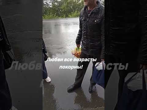 Встречает любимую