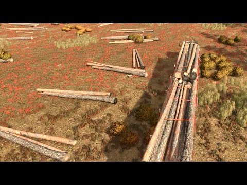 Building a Mega Farm Out of a Forest #42 PineWood Forest | Hard Mode Farming Simulator 25 Time Lapse