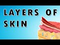 Skin Layers and Conditions Assessment