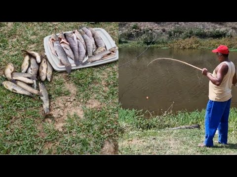 Acampamento caipira, com pesca raiz na vara de bambu e um frito de traira