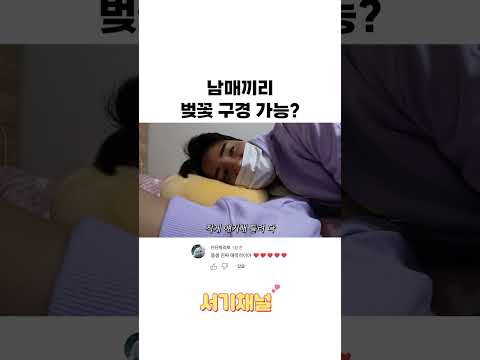 벚꽃 별거 있어?