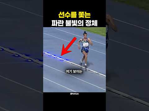 선수를 쫓는 파란 불빛의 정체