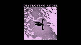Destroying Angel - Let the season find you