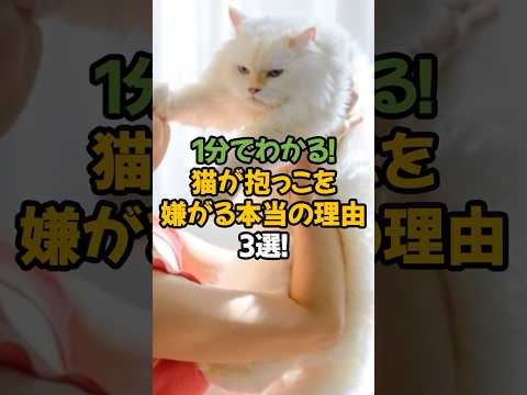 【なぜ?】猫が抱っこを嫌がる本当の理由3選!🐾1分で解説!