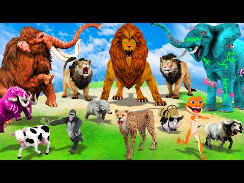 3 Giant Lion Cheetah vs 5 Zombie Elephant Gorilla Cow Buffalo Pig Fight Mammoth Elephant vs Lion