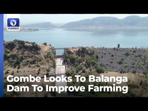 Gombe Smart Agriculture: Balanga Dam To Be Unlocked For Rice Production