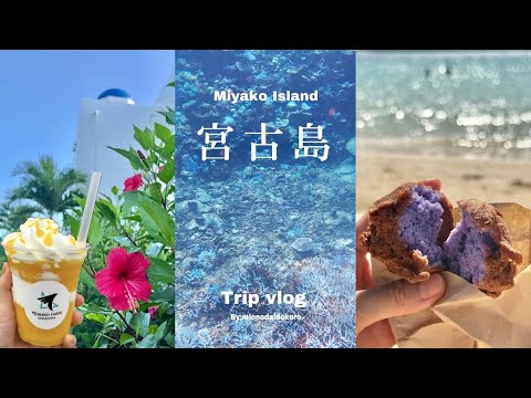 vlog｜４泊５日✈️１０月の宮古島旅行🌺八重干瀬·新城シュノーケル𓆉宮古島グルメ🍔