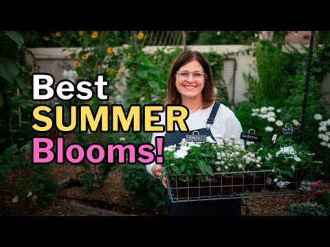 8 Best FLOWERS for HOT Summer Gardens (Arizona Tested!)