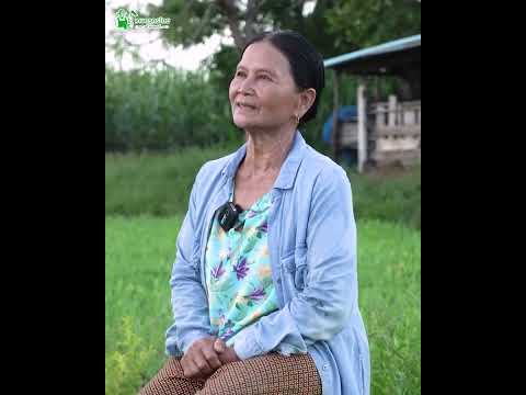 คุณยายปลูกผักพายน้อย 4งาน สร้างรายได้ 40,000บาท ต่อเดือน
