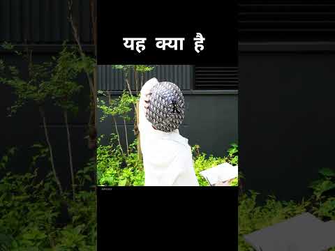 यह कैसी शक्ति है  #shorts