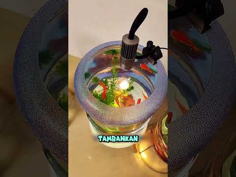 ngerawat ikan di bekas galon