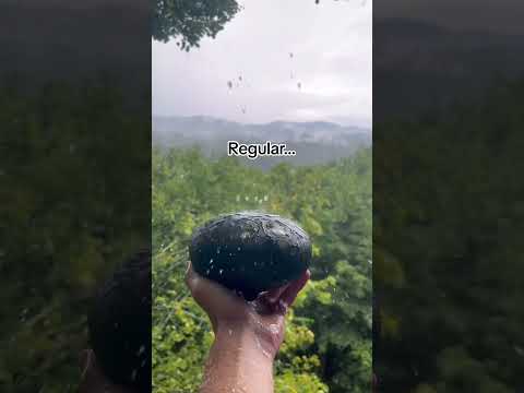 Mini or Regular? #instrument #drums #outdoor #relaxing #garden #relaxing #meditation #relax