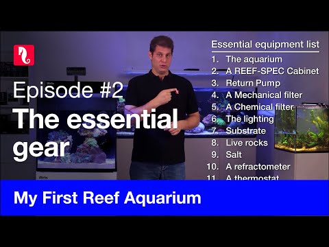 My First Reef Aquarium, episode 2 - The essential gear