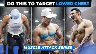 GROW LOWER CHEST Fast in 2025|TOP 3 EXERCISES| Muscle Attack Series|