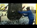 Sustainable Fishery Management Quiz