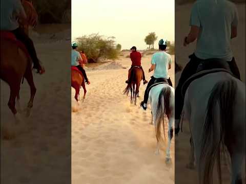 The Most Extravagant Horse Riding Experience in Dubai