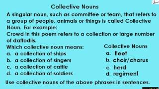 Collective Nouns (explanation/identify/make sentences)