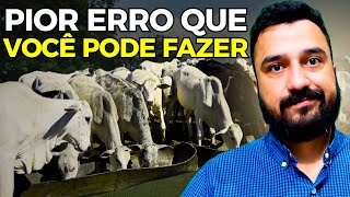 7 Tipos de investimento que você faz Errado na fazenda