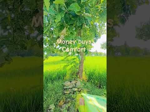 #music #song #viral #nature #trending #telugu #villagelife #agriculture #automobile #farming