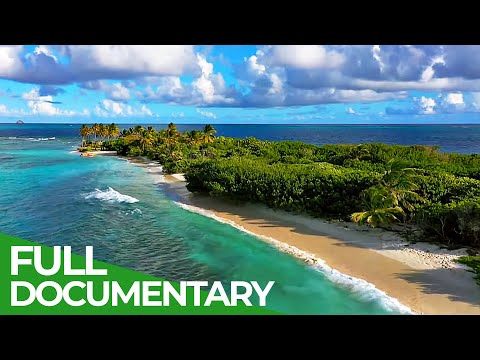 YouTube video thumbnail: Saint Vincent and The Grenadines - Caribbean Island Paradise