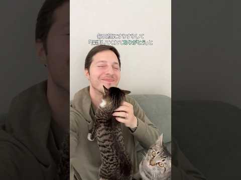 極寒の中、助けを求めた子猫