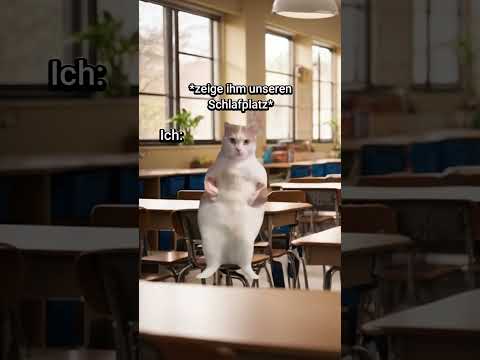 POV: Die letzte Reihe im Klassenraum😂 #katzenvideos #katze #lustig #shorts #schule