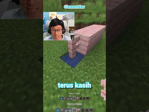 Membuktikan Hack Allay Skeleton Head di Minecraft!