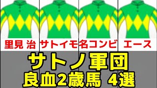 【POG2025-2026】里見治(サトノ軍団)良血2歳馬4選【サトノボヤージュ/サトノグロリア】