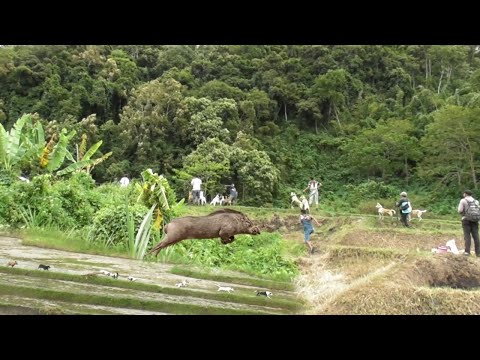 Tragedi Buruan Lembang Singkarak