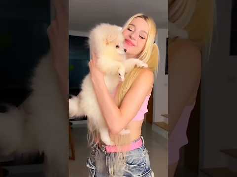 Cat and Dog fighting 😱#shorts #trending