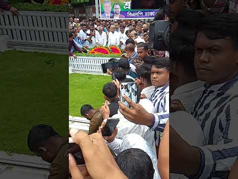 Rumeen's Voice Rumeen Farhan BNP #foryou #funny #shots #motivation #news #shortvideo #shortsfeed