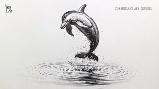 Pencil Sketch and Shading Dolphin Art by Pencil