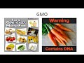 Genetic Engineering and Biotechnology Concepts