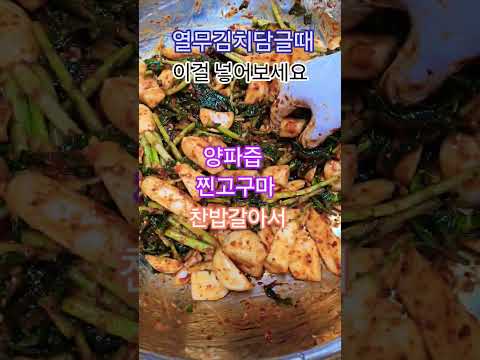 <strong>열무김치담글때</strong>