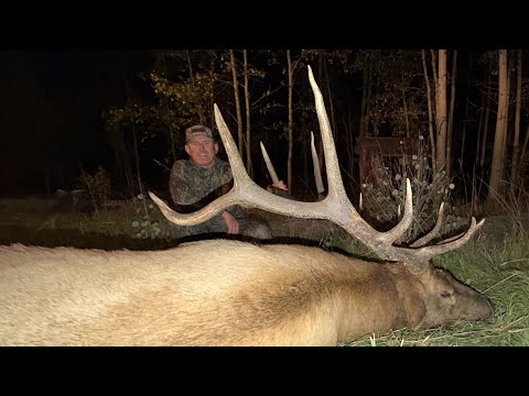 My biggest *bull elk* ever with a bow! (catch & cook) video thumbnail