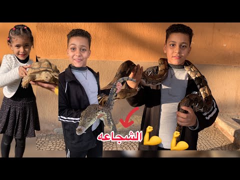 تحضير اجمل رحله قبل المدرسه 😍وشوفنا اخطر الحيوانات العملاقه😱