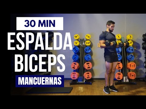 rutina espalda y biceps con mancuernas en casa 💪 rutina PULL 30 minutos