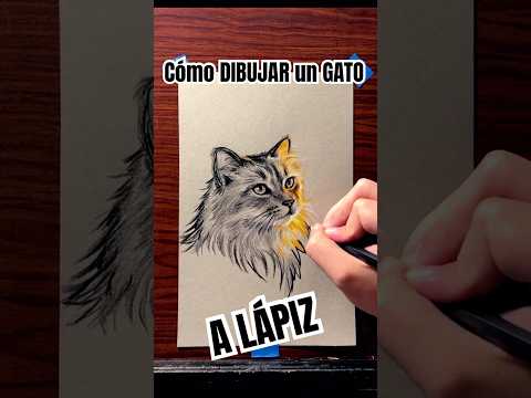 Cómo DIBUJAR un Gato con reflejo brillante a lápiz ✏️ #aprendiendoadibujar #dibujo #art