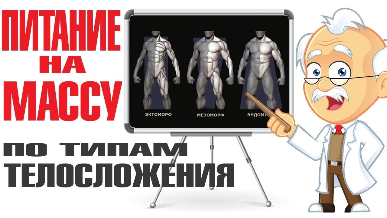 Лучшие продукты для НАБОРА МАССЫ по типам телосложения