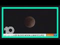 Lunar Eclipse Phenomena and Observations