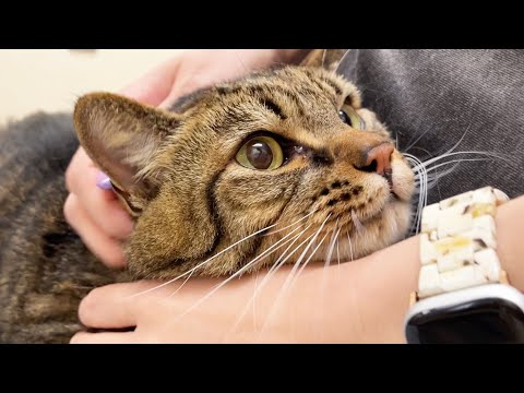 さもじさんを、病院に連れて行った結果…