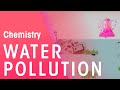 Environmental Pollution and Its Effects