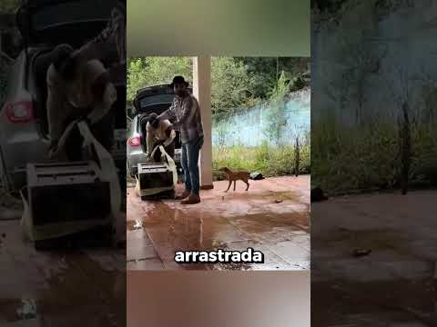 Encontraron algo en una casa abandonada  #shorts #viral #shortsviral #motorcycle