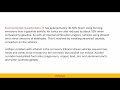 Alternative Fuels and Their Impacts