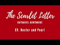 Character Reflections and Interactions in The Scarlet Letter