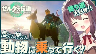 【ティアキン】発見だらけの寄り道大好き！初見【ゼルダの伝説ティアーズオブザキングダム 女性実況 Vtuber なちゅモカ】114