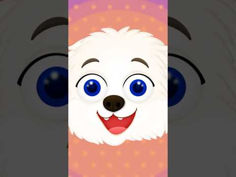 Песики носики 4 #shorts
