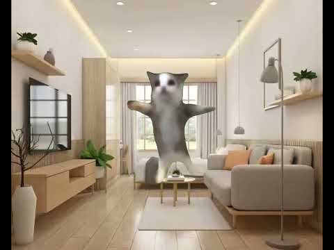 1 Minutes Of Happy Happy Cat song (no subtitles)