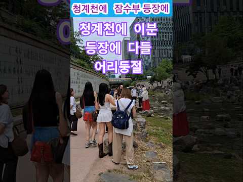 청계천 잠수부 등장에 다들 깜짝놀람#서울#여행#힐링#외국인반응